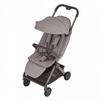 Коляска прогулочная Anex Air-Q